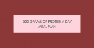 300 Grams of Protein A Day Meal Plan