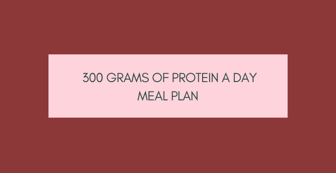Looking For a 300 Grams of Protein A Day Meal Plan? Read This First!