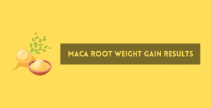 Maca Root Weight Gain Results