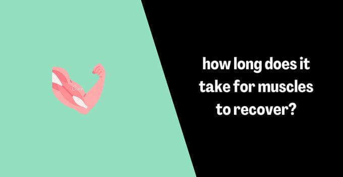 How Long Does It Take For Muscles To Recover