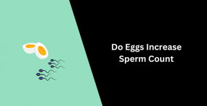 eating eggs increase sperm count