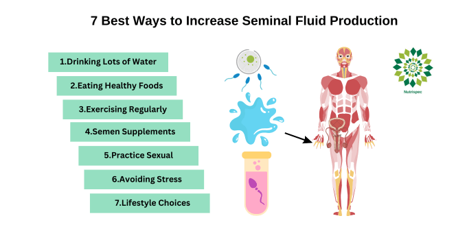 Ways to Increase Seminal Fluid 