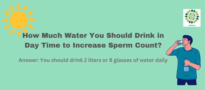Water Intake Day Time Increase Sperm